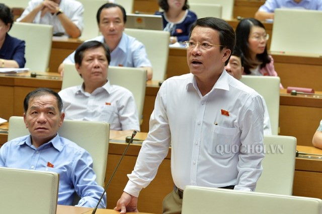 ĐBQH THÁI TRƯỜNG GIANG - CÀ MAU: KIẾN NGHỊ BỘ NỘI VỤ HƯỚNG DẪN, QUY ĐỊNH HOẠT ĐỘNG CỤ THỂ ĐỐI VỚI MỘT SỐ NGÀNH, LĨNH VỰC